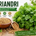 Fresh koriandri leaves and coriander seeds displayed on a wooden table, showcasing the herb's culinary uses and health benefits.